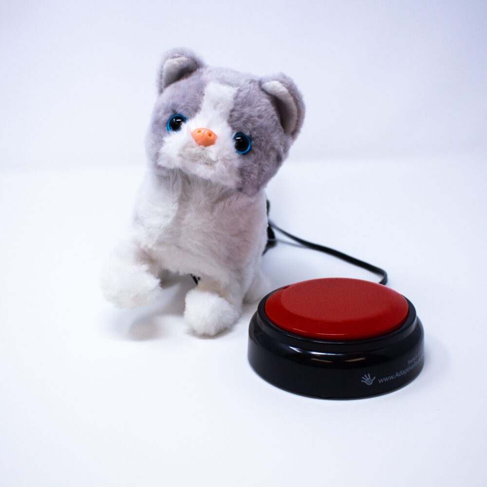 Cloud Kitty - Switch Adaptive Toy available in the lending library at FAAST.org