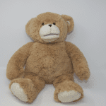 Sammy the Bear available in the FAAST.org Lending Library